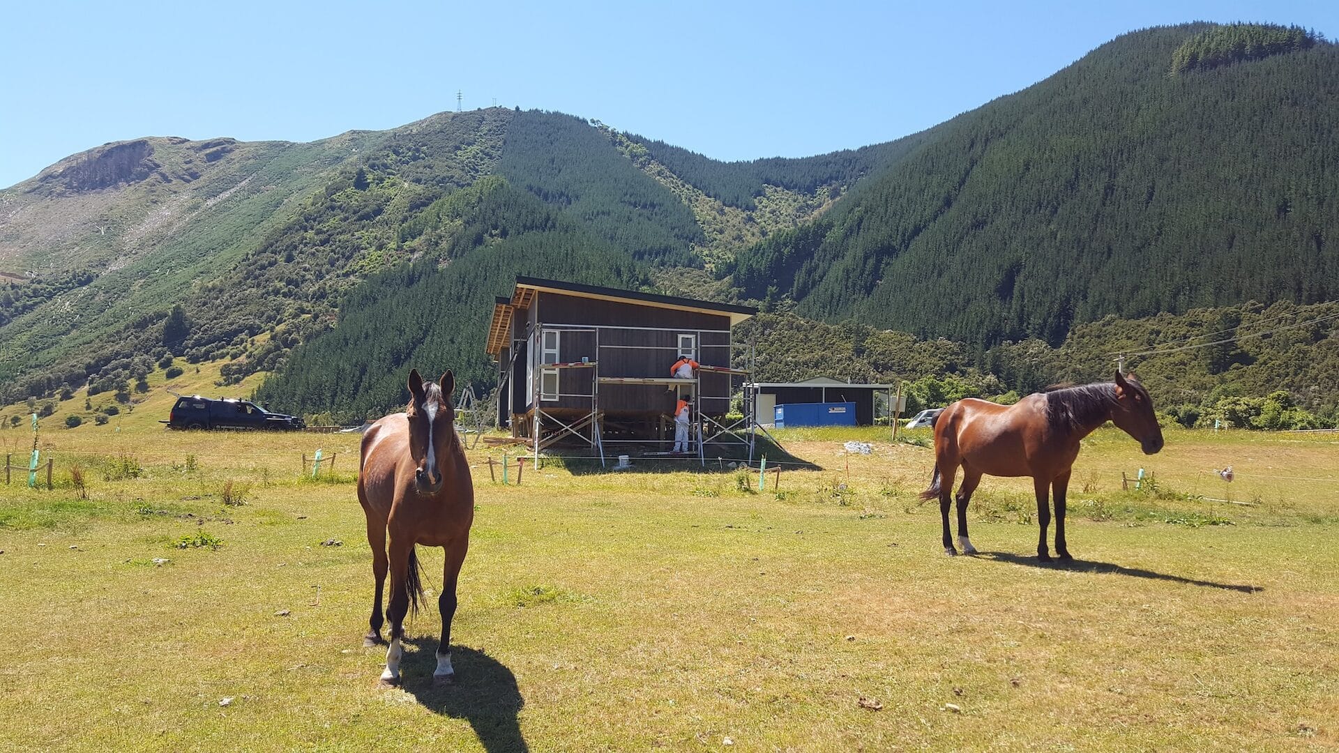 Gregory Home — house under construction with horses in the Wakamarina Valley